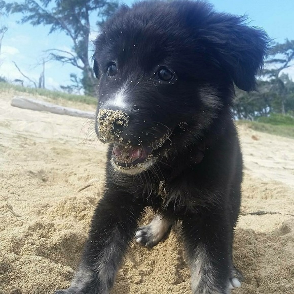 Meet your Posher, Aimee - Picture 2 of 8